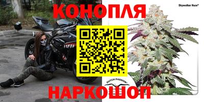амф Славгород