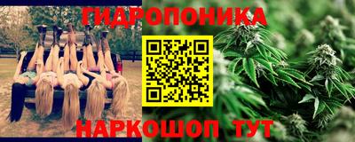 амф Славгород