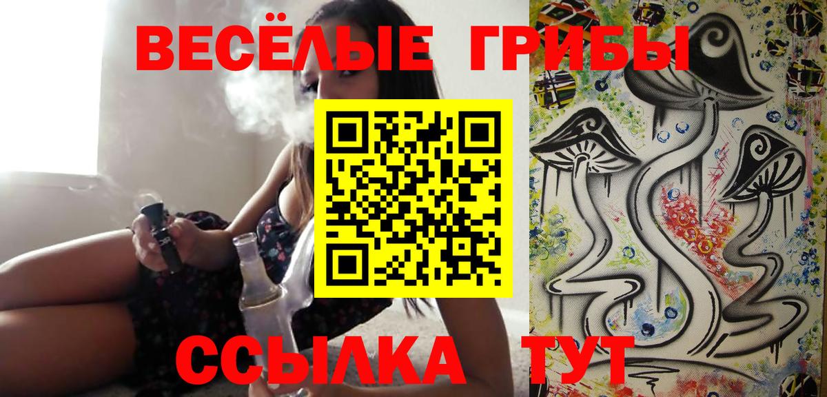 Псилоцибиновые грибы Psilocybine cubensis  Вход с VPN  Ногинск 