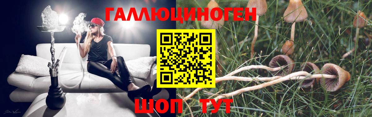 Псилоцибиновые грибы мухоморы Ногинск